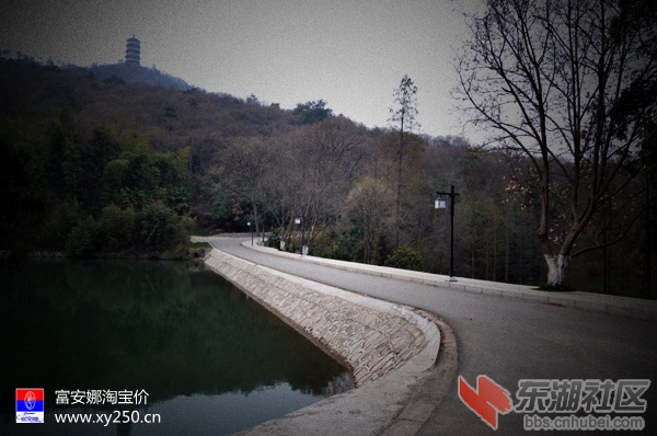 专卖富安娜 襄阳淘宝价0710-3406077