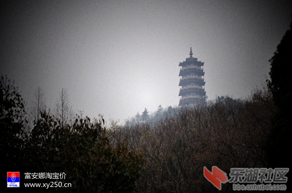 专卖富安娜 襄阳淘宝价0710-3406077