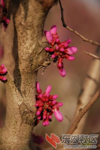 nEO_IMG_DSC_2056.jpg