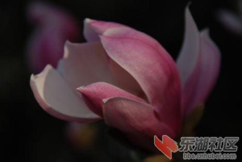 nEO_IMG_DSC_2057.jpg