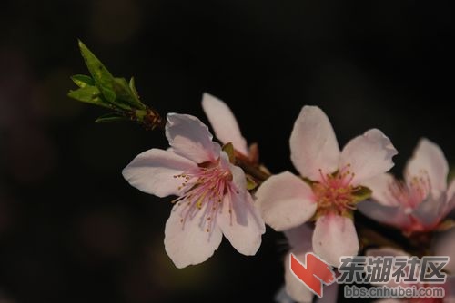nEO_IMG_DSC_2067.jpg