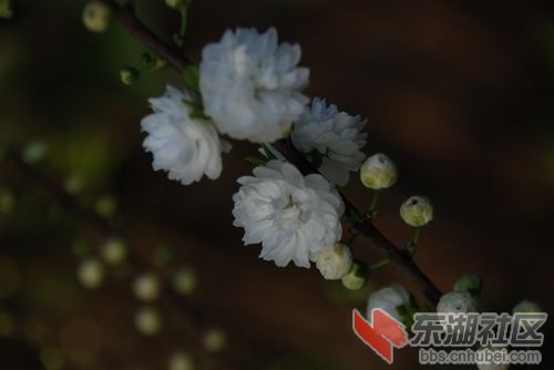nEO_IMG_DSC_2075.jpg