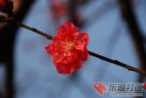nEO_IMG_DSC_2079.jpg