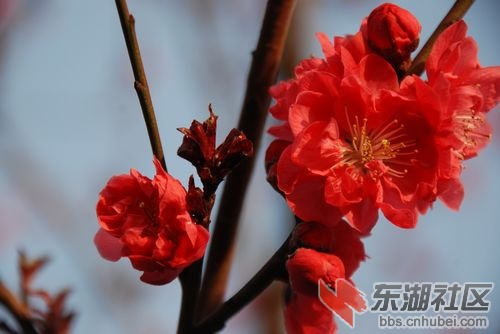 nEO_IMG_DSC_2092.jpg