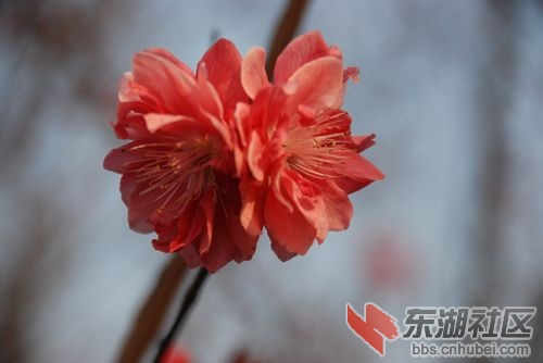nEO_IMG_DSC_2093.jpg