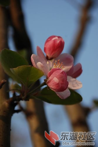 nEO_IMG_DSC_2122.jpg