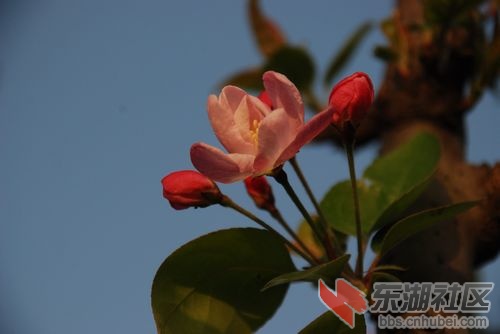nEO_IMG_DSC_2131.jpg