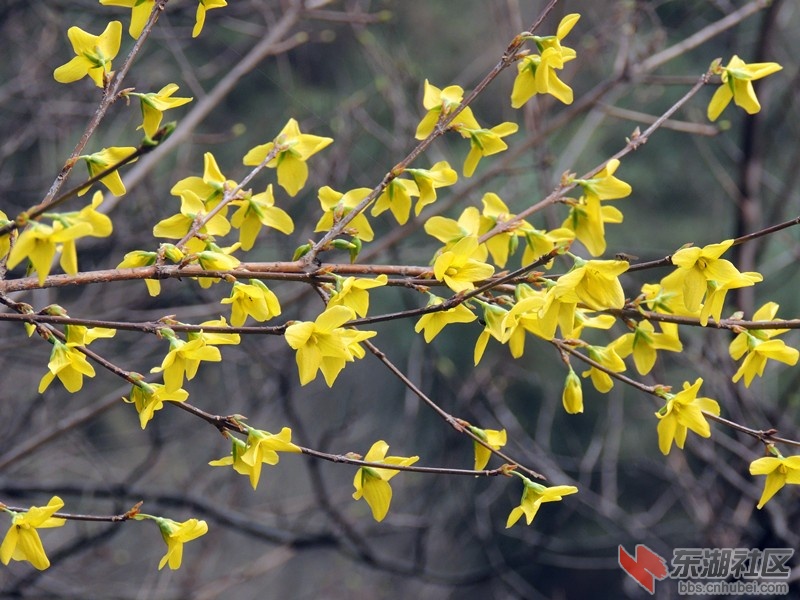 QQ图片20130315105855.jpg
