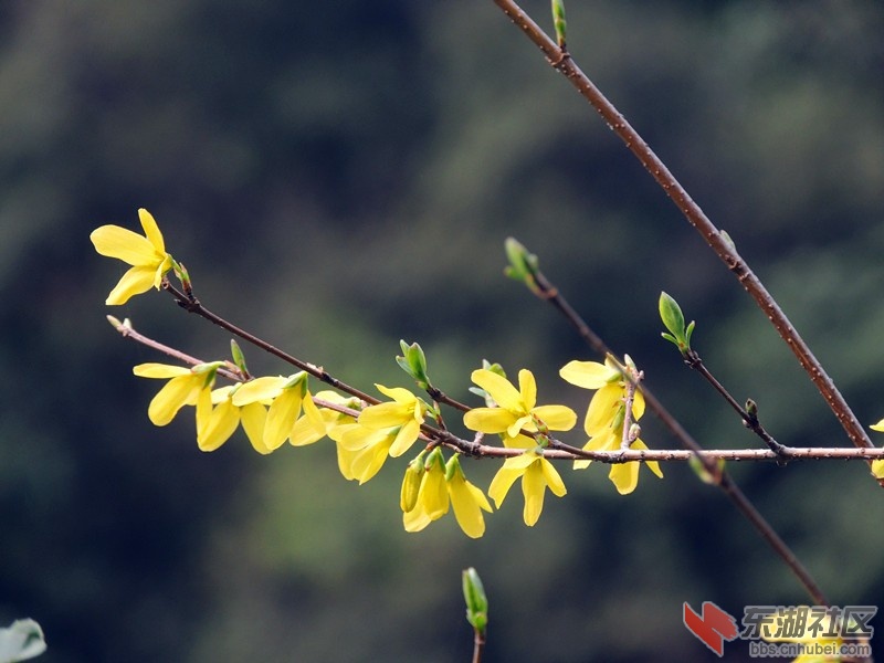 QQ图片20130315105809.jpg