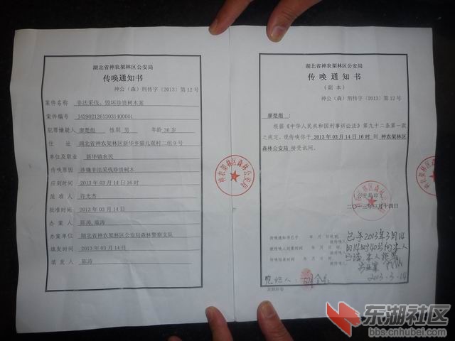 P1060931.JPG