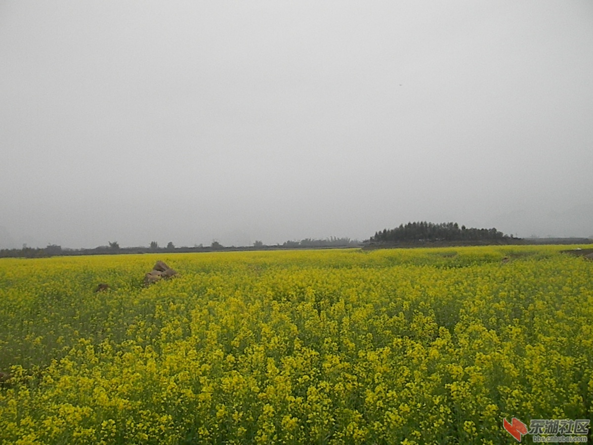 DSCN7563.JPG