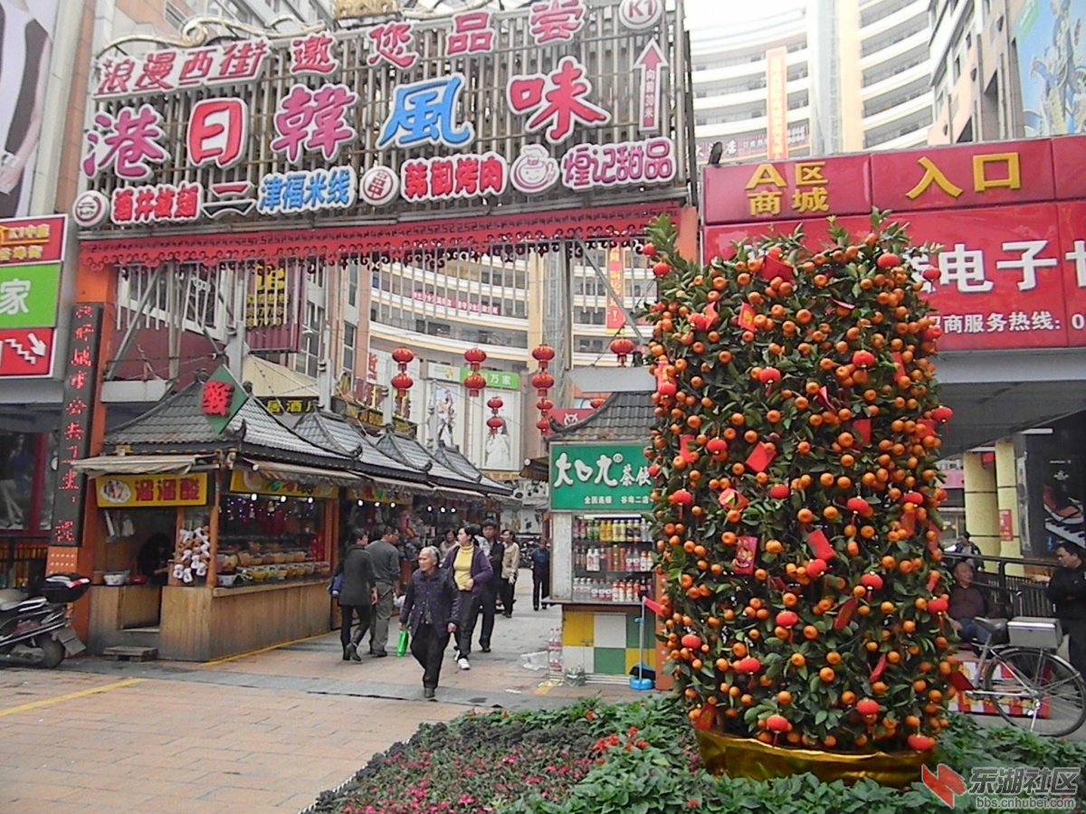 DSCN7582.JPG