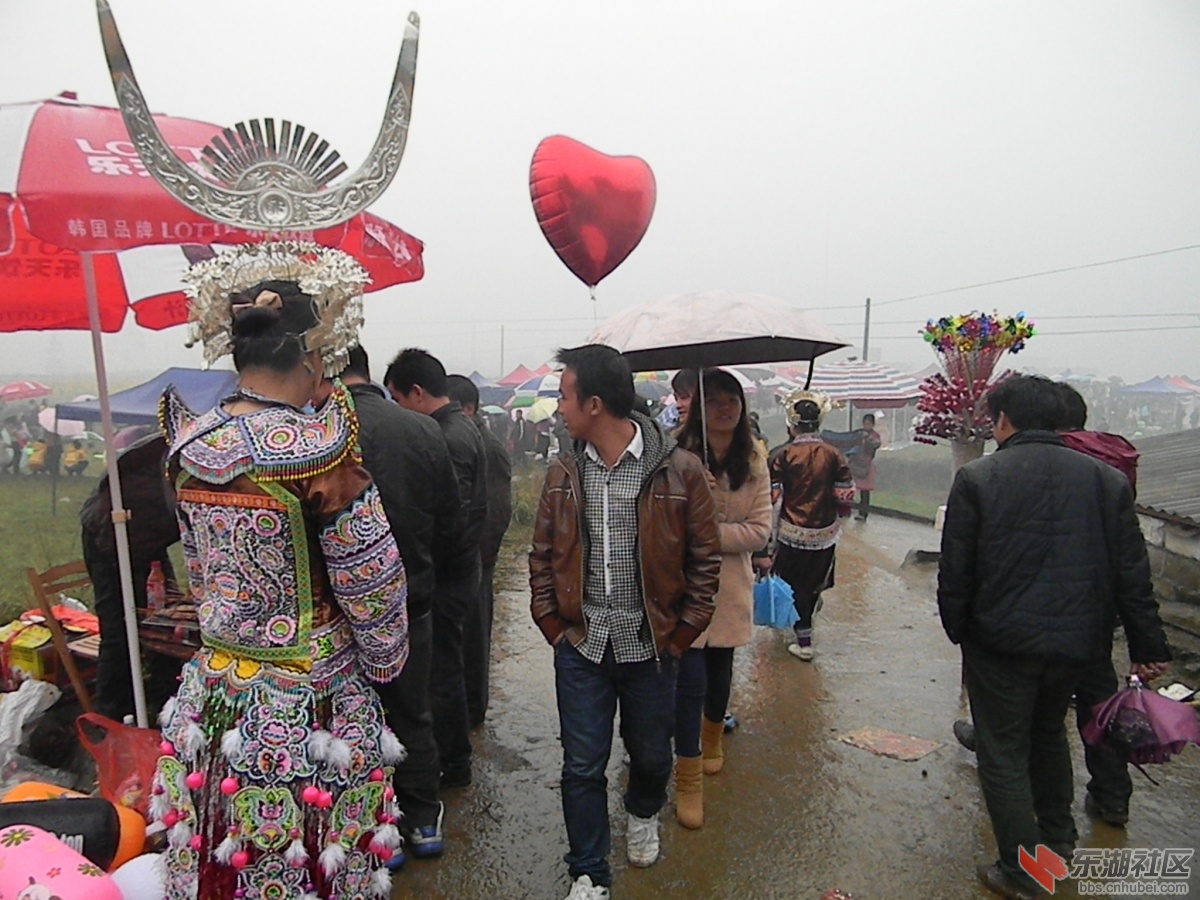DSCN0803.JPG