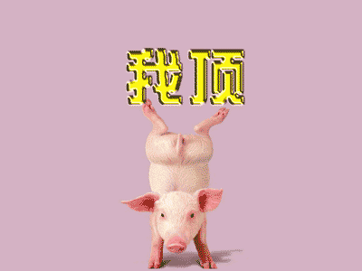 2313724308561947678.gif