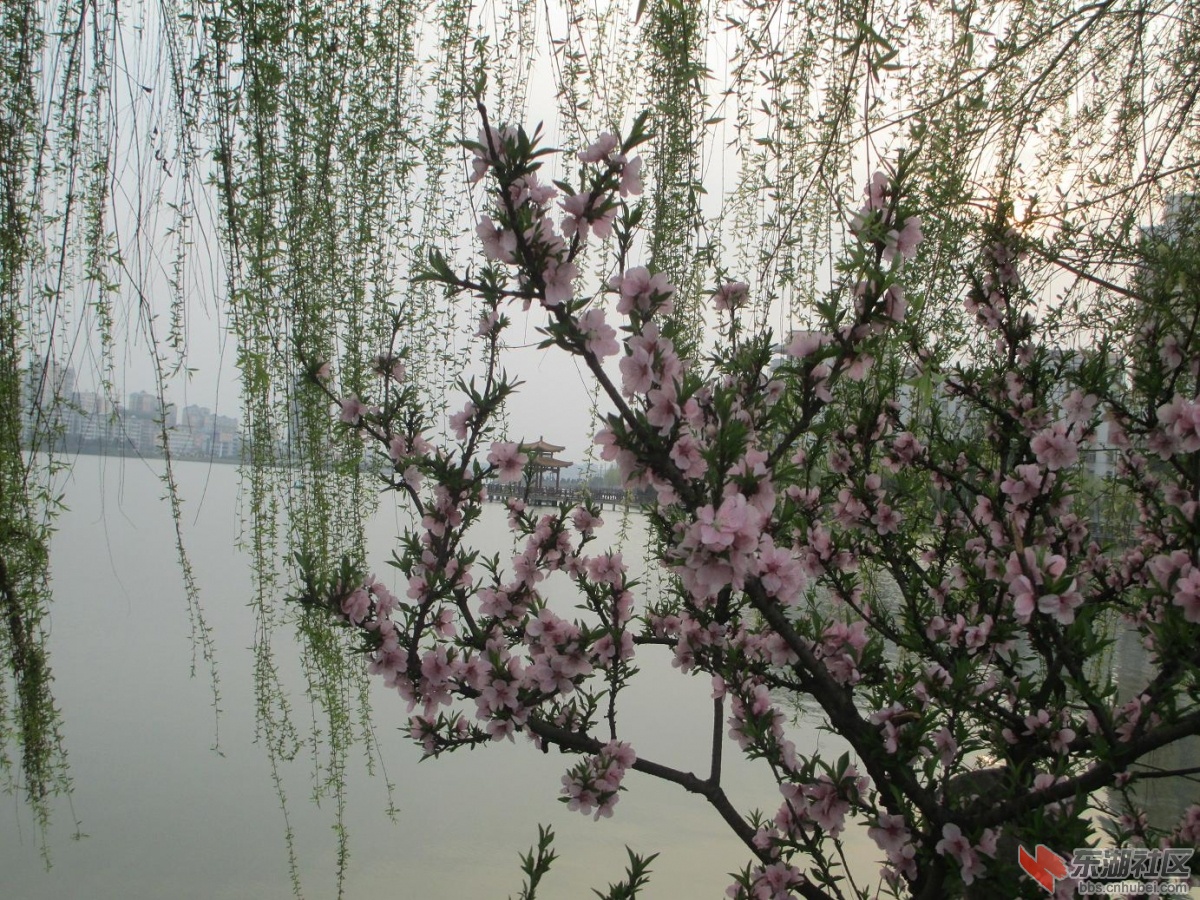 照片 021.jpg