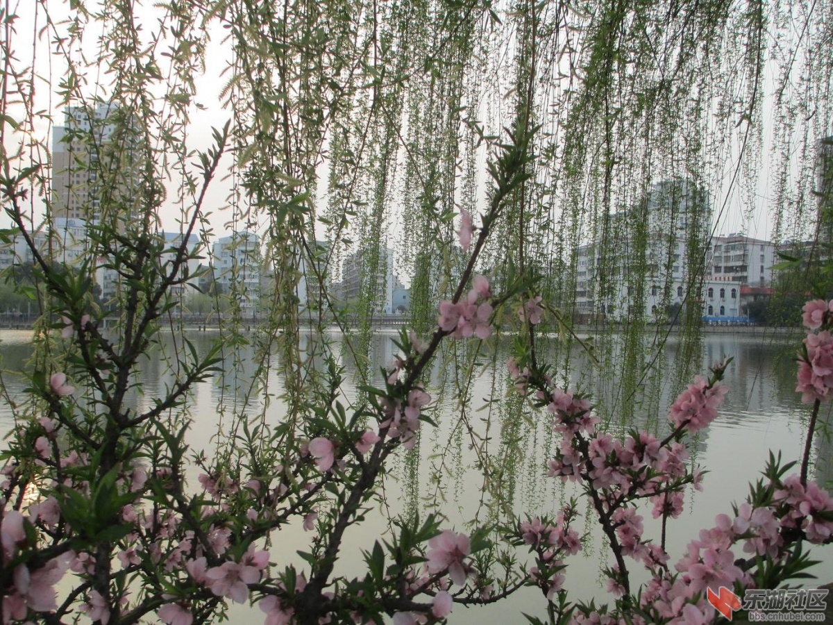 照片 024.jpg
