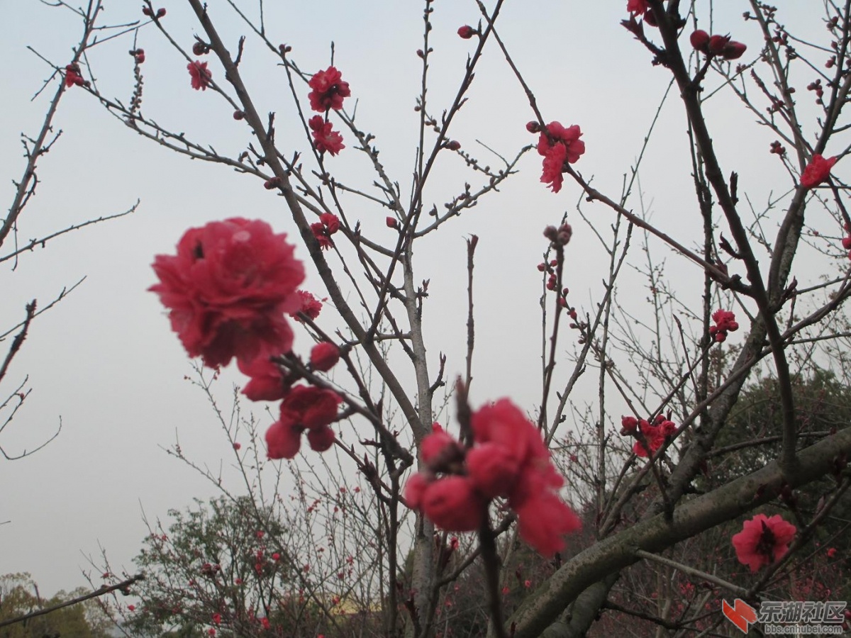 照片 029.jpg