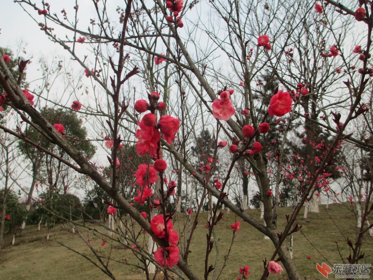 照片 036.jpg