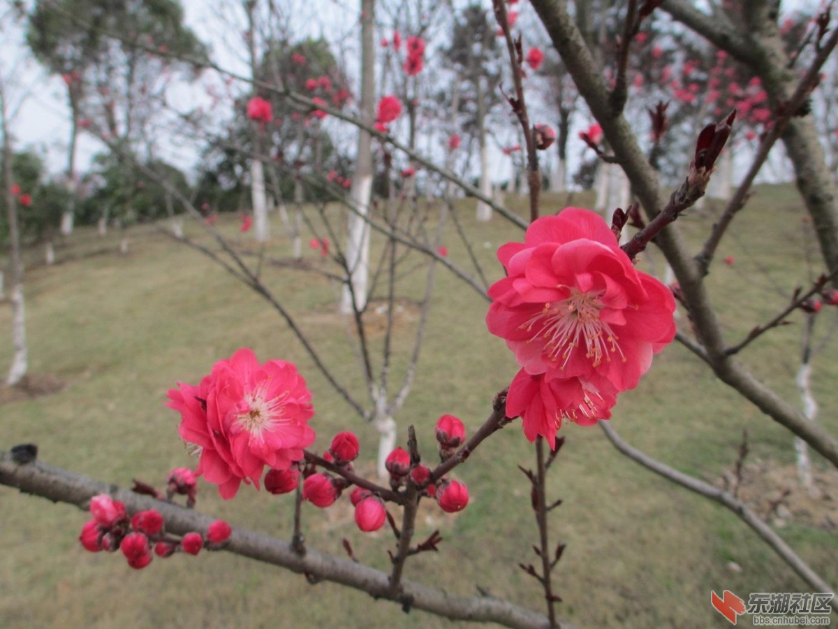 照片 037.jpg