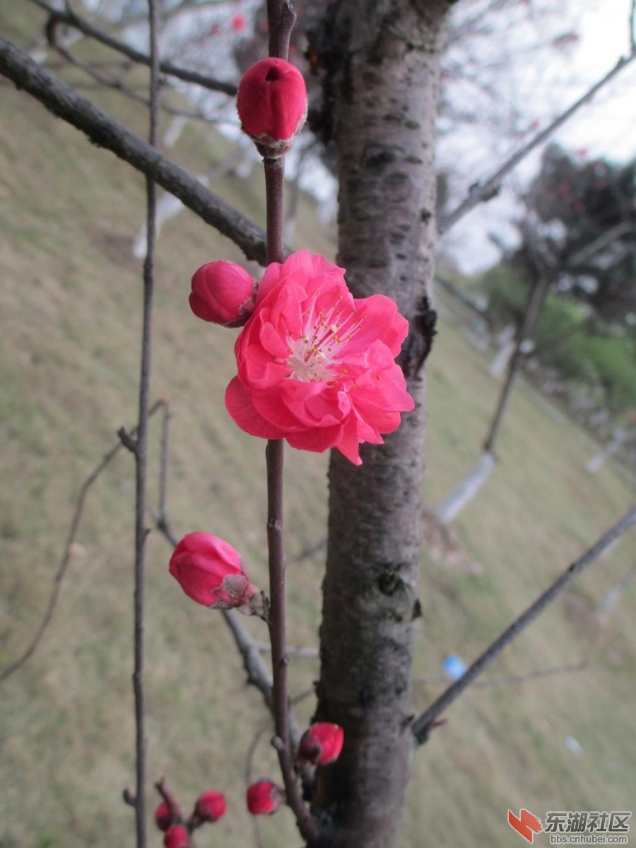 照片 046.jpg