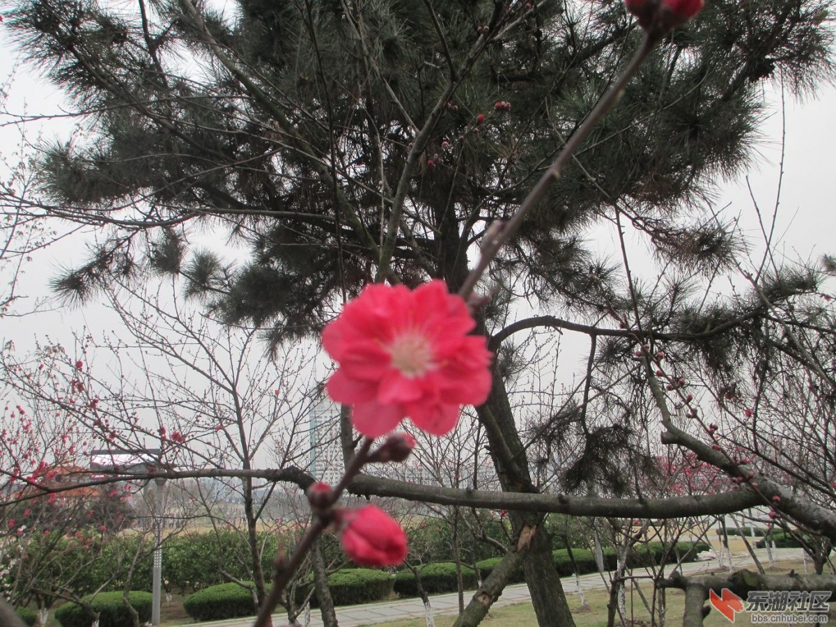 照片 048.jpg