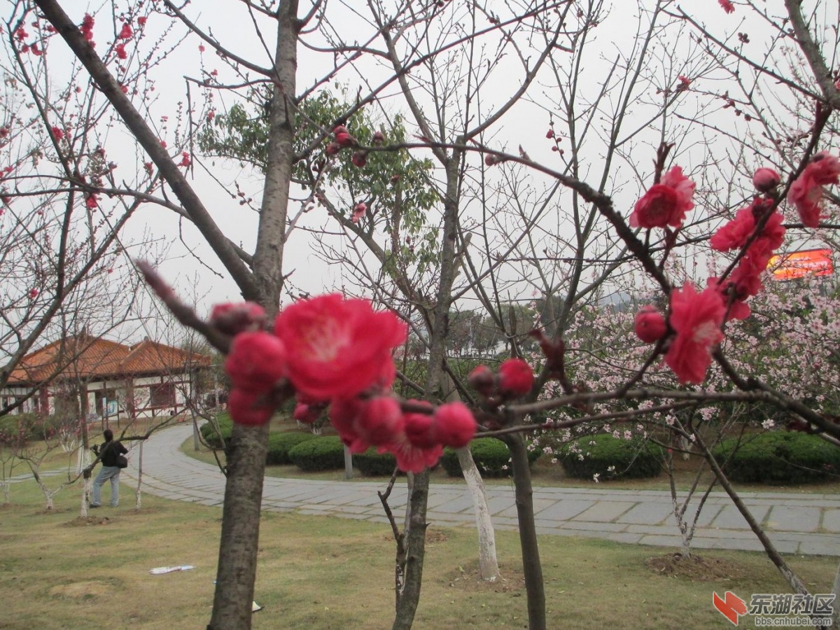照片 049.jpg