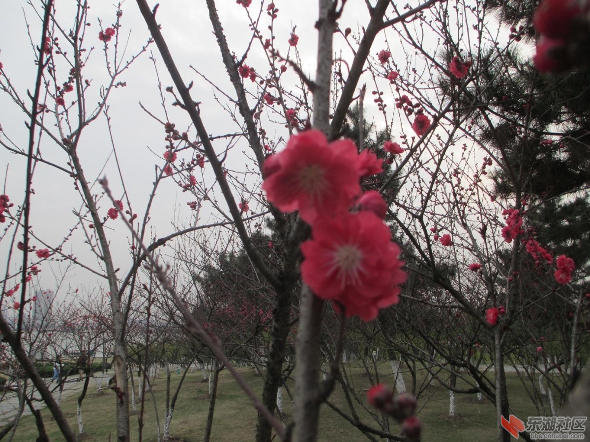 照片 051.jpg