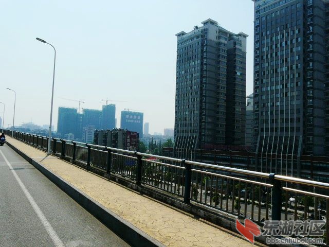 P1960155.JPG