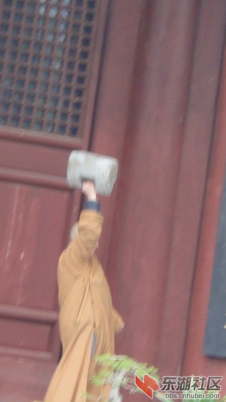 39.jpg