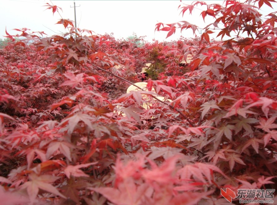 QQ截图20130317160425.jpg