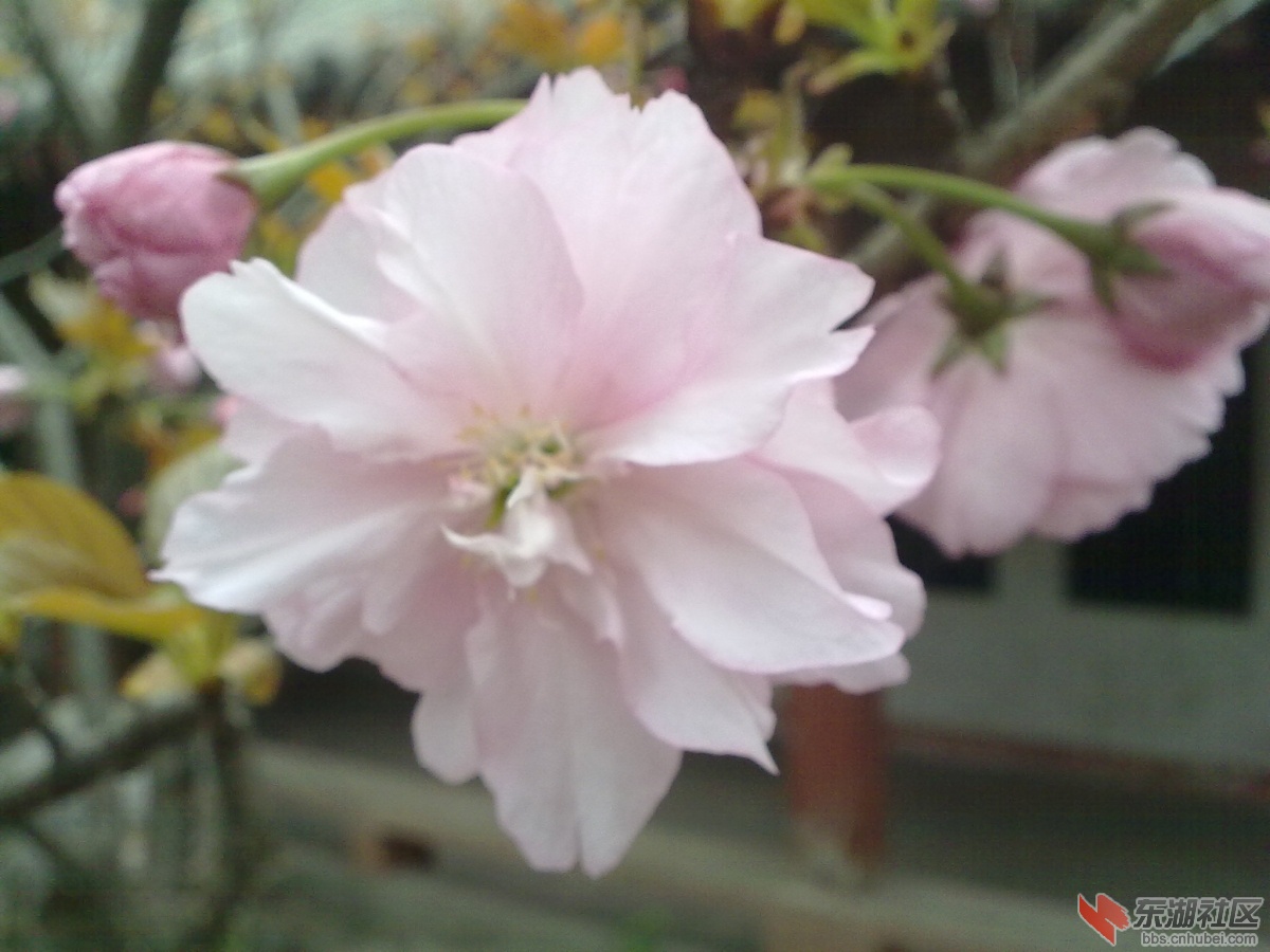 20110401147.jpg
