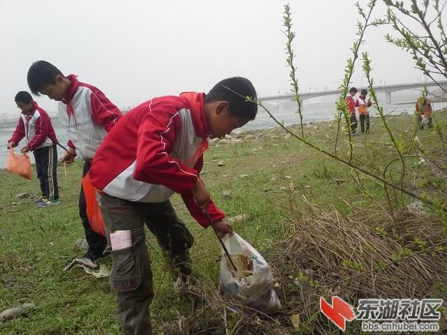 1713026emw9lx3m3z333mx.jpg