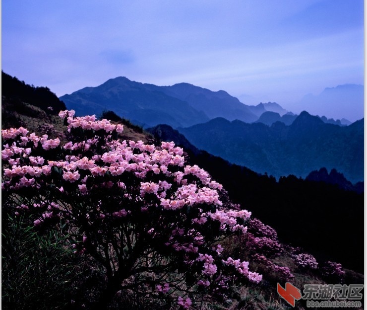 未命名.jpg惹一.jpg