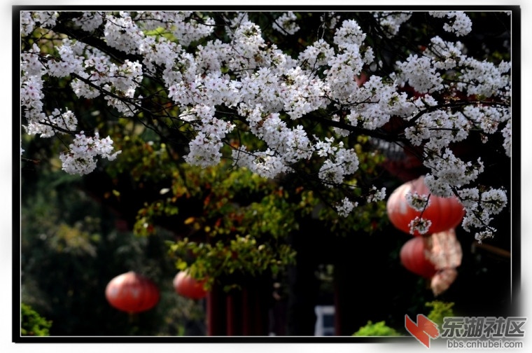 152232s0oqytlsabk8no23_副本.jpg