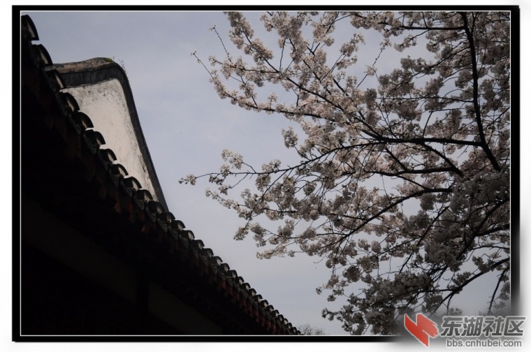 152239co07wf2r0klpr2wj_副本.jpg