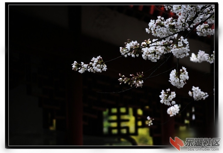 152255xyjpa6yzf2df7utd_副本.jpg