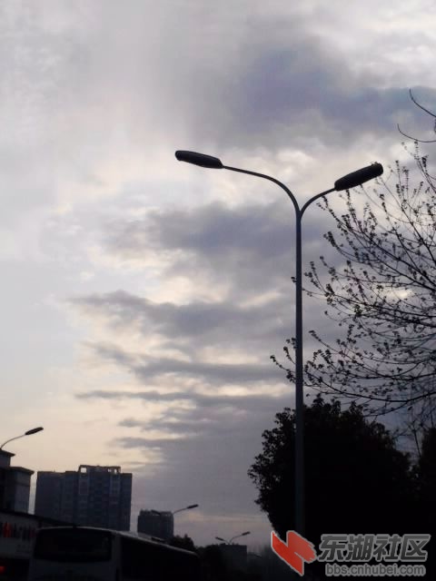 P190313_07.44.jpg
