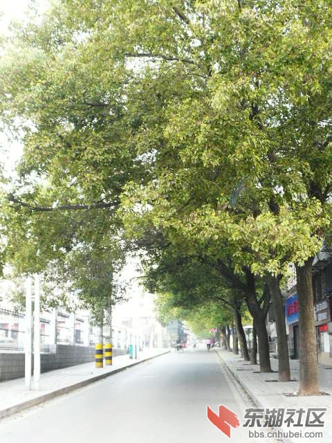 P2030432.JPG