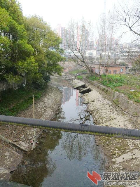 P2030426.JPG
