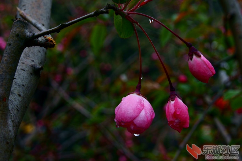DSC01703.JPG