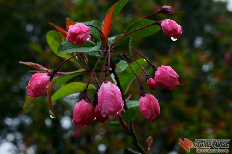 DSC01705.JPG