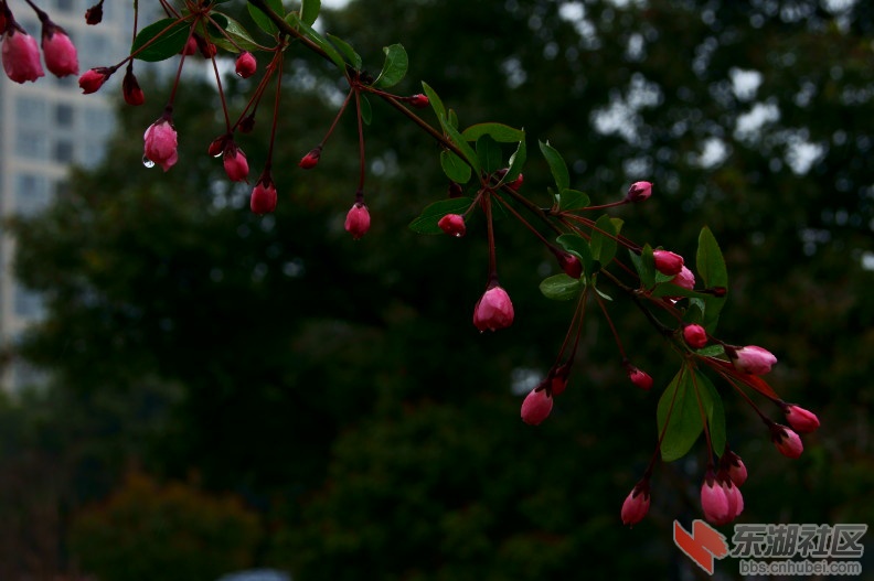 DSC01721.JPG
