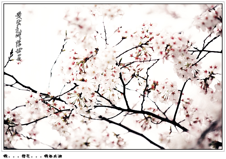 IMG_7240_副本_conew1.jpg