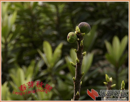 DSC06723副本.jpg