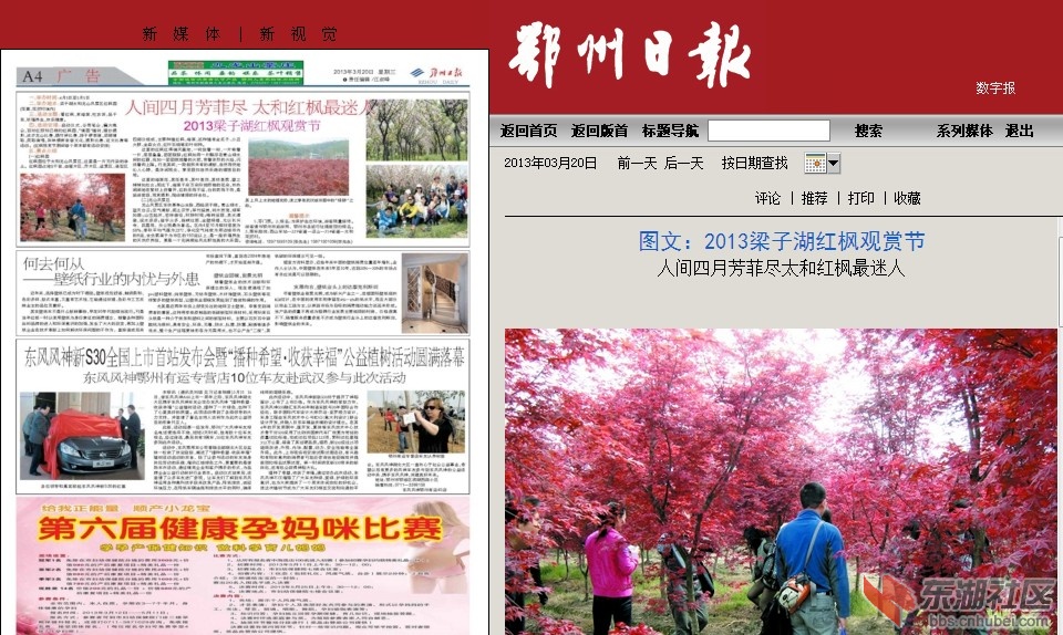 QQ截图20130320210010.jpg