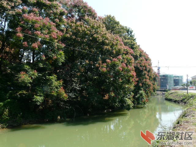 P1970843.JPG