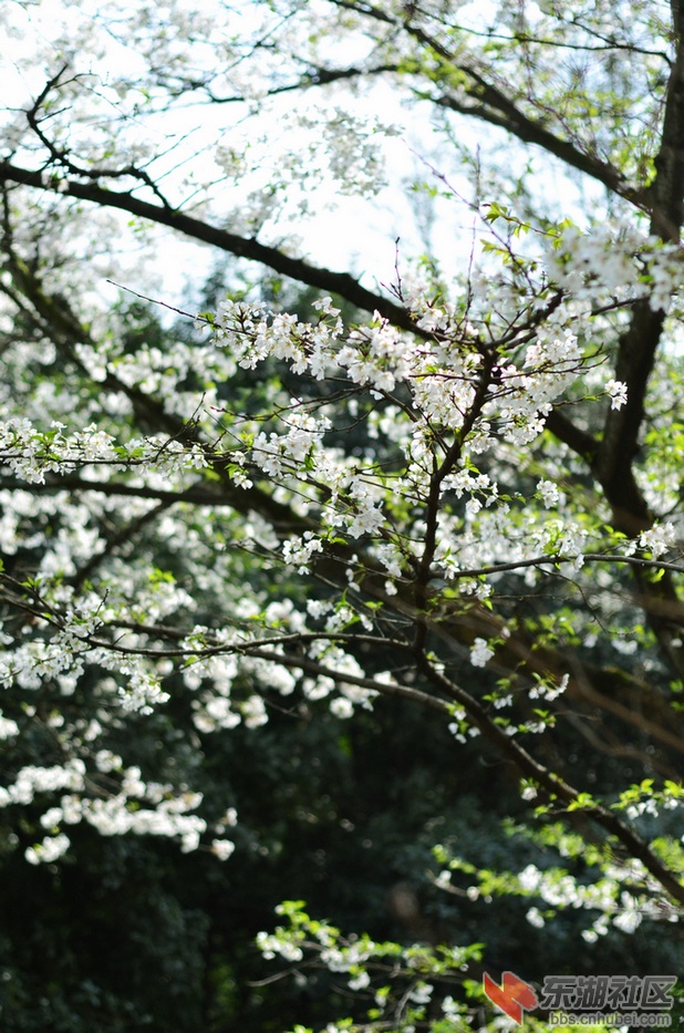 DSC_0047.jpg
