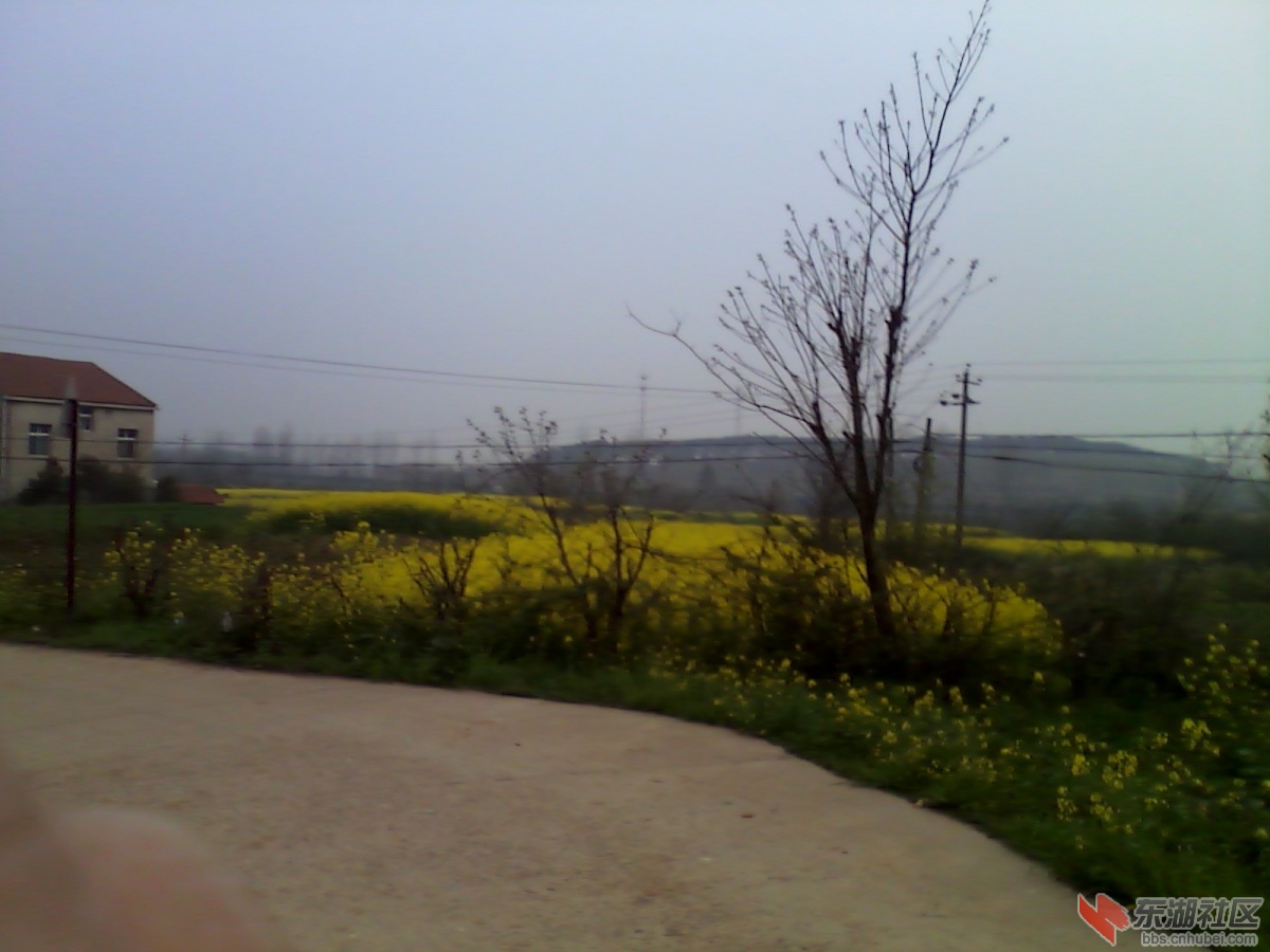 IMG_20130321_181659.jpg