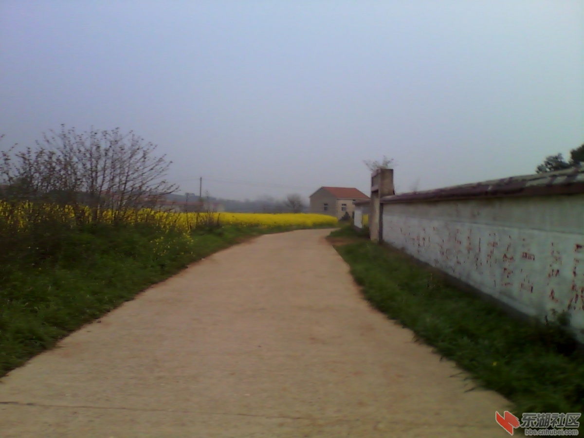 IMG_20130321_181802.jpg