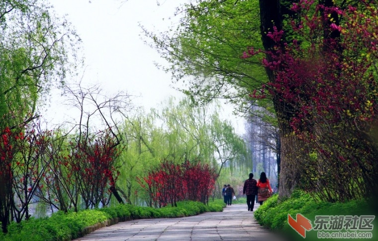 101232wy9atvvuye7qyvvw_副本.jpg